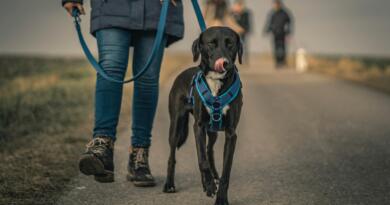 hundeselerhundeseler