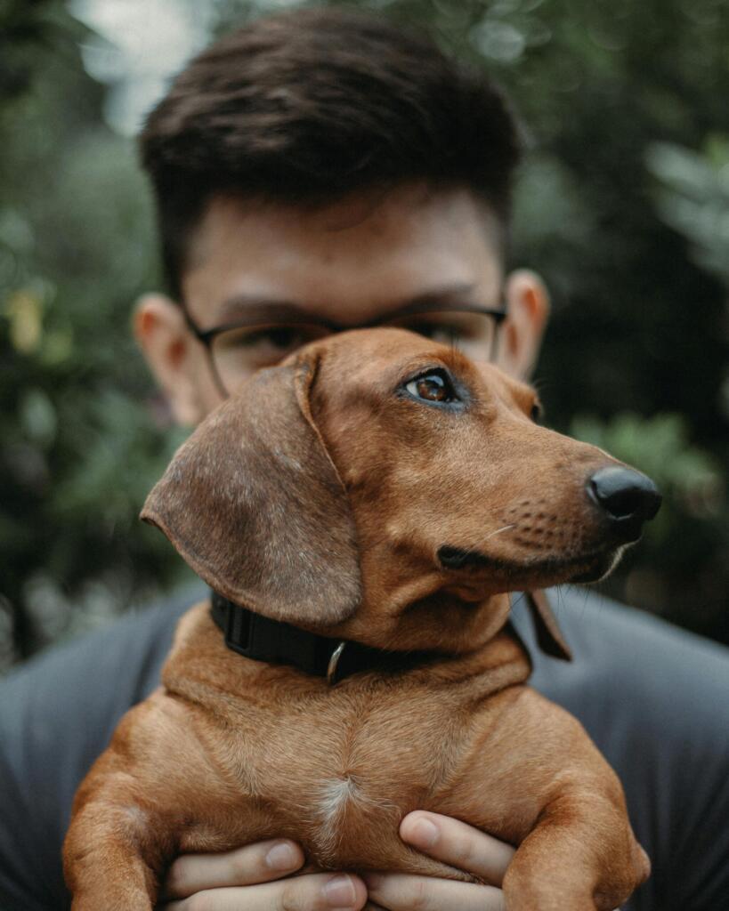 Køb en hund