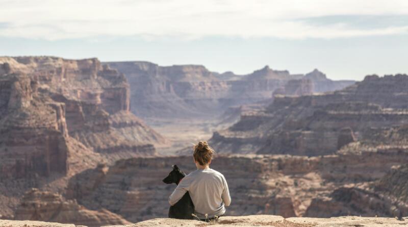hunden med på ferien