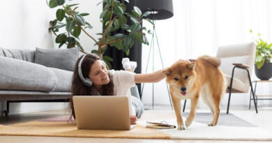 Den bedste underholdning for din hund og din spillelyst Som hundeejer er det vigtigt, at du sørger for, at din firbenede ven bliver underholdt. Det kan være i form af gåture, motion og andre udendørsaktiviteter. Men når du sidder derhjemme, er det lige så vigtigt at finde på sjove aktiviteter til din pelsede ven. Her er nogle ideer til underholdning for dig og din hund, som I kan lave helt uden at gå udenfor. Hold hjernen i gang Både du og din hund har godt af at holde jeres hjerner friske. For dig kan dette betyde mange forskellige ting, da det er godt at finde den helt rigtige hjernegymnastik. Det kan være at prøve Sudoku eller et onlinespil, da dette er en god mulighed for at dykke ned i dine logiske eller strategiske evner. Du kan prøve top casinoer uden ROFUS, hvor du kan afprøve dine spilleevner med nogle sjove casinospil. På den måde kan du både holde hjernen i gang, men samtidig prøve lykken. Din hund har også brug for mental stimulering. En god aktivitet til dette er næsearbejde, hvor du gemmer legetøj eller godbidder, som din hund så skal snuse sig frem til det. Hunde har en fremragende lugtesans, er det en oplagt mulighed. Noget andet, du kan prøve, er legetøj skabt til at træne din hunds problemløsning. Der findes utallige aktivitetsspil, hvor din hund eksempelvis skal finde frem til snacks, der skjuler sig inde i legetøjet. Der er derfor mange forskellige måder at holde din hunds hjerne skarp på. Fysiske aktiviteter Selvom I sidder derhjemme, så kan du og din hund sagtens stadig holde jer fysisk aktive. For dig kan det være i form af hjemmegymnastik eller -træning. Måske har du allerede nogle træningsredskaber derhjemme, men ellers kan du også følge en videoguide til træning derhjemme på nettet. Der er adskillige muligheder for fysiske aktiviteter, så du kan sagtens finde noget, der passer til dine behov. Flere danskere end nogensinde før ejer en hund, og mange er også blevet meget bedre til at træne den. Selvom man kan tro, at det er nødvendigt at tage i en park for at få tilstrækkelig motion, så er der andre muligheder. Du kan blandt andet lave en forhindringsbane i dit hus, hvor din pelsede ven skal lære at navigere rundt i dine møbler for at finde f.eks. godbidder. Tovtrækning er også en udmærket ide, da dette vil teste din hunds udholdenhed. Hvis du har en have, kan du også lave både forhindringsbaner eller tovtrækninger udendørs. Find en aktivitet, der passer til lige din hund Der er mange typer hunde, og de har alle forskellige behov for mental og fysisk træning. Nogle hunderacer kan have et højere aktivitetsniveau, og dermed skal du også huske, at hver dag ikke kan være en hjemmedag. I så fald skal du sørge for de lange gåture eller joggingture, så du bedst muligt kan passe på din hund. Lige meget om du tilbringer tid med din hund ude eller hjemme, så kan I begge få nogle hyggelige stunder ud af det. Det er derfor vigtigt, at du finder de bedste aktiviteter til både dig og din pelsede ven.