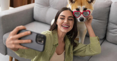 Online casinoer og deres rolle i det moderne hundeliv