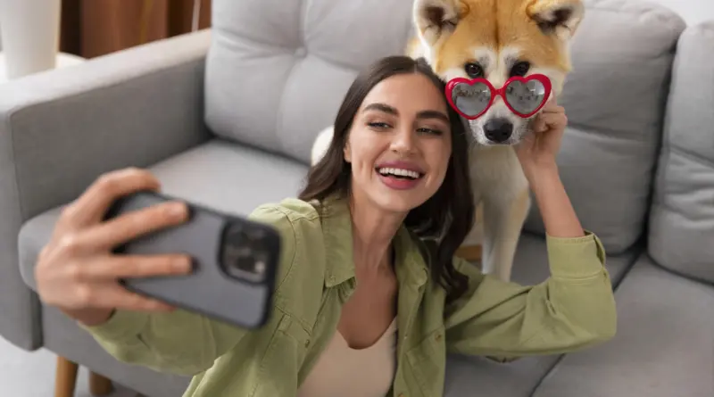 Online casinoer og deres rolle i det moderne hundeliv